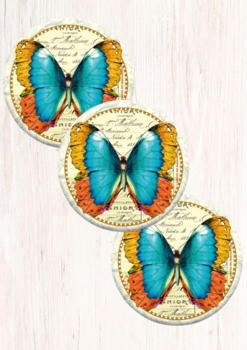 3 Magneter med smuk sommerfugl på vintage baggrund bredde 5,6 cm