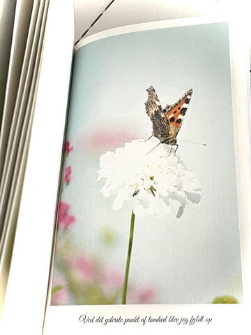 I audiens hos stilheden - forvandlingsdigte af Lawrence Lindhardt Christensen signeret og i smuk indpakning med sommerfuglebilleder i farver
