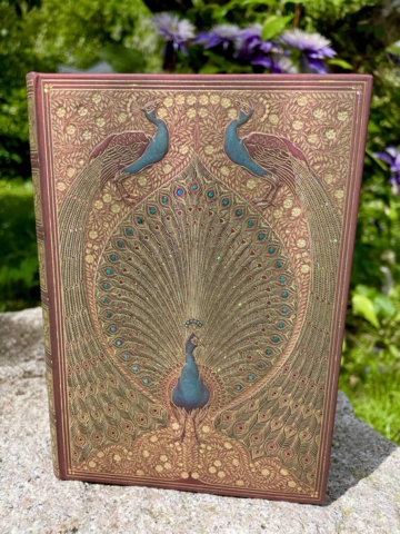 UDEN LINJER taskeformat 12/18 cm Golden Peacock bundet som gammel bog 144 sider i smuk gaveindpakning