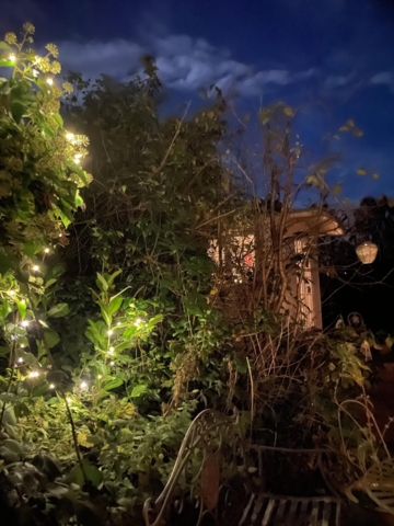 Lyskæde med 40 små LED stjerne-lys og timer