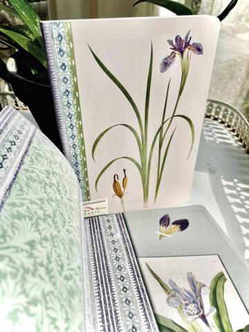 2 stk IRIS notesbog A5 med omslag som blød hud og smukke indersider 100 nummererede sider MED LINJER og stjerneskud pakket i smukke gaveposer Skriv hvis du ikke ønsker indpakning