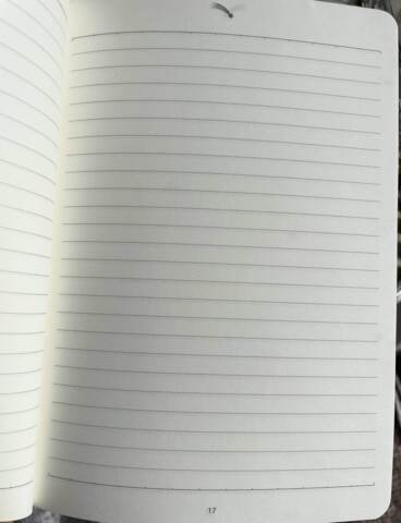 2 stk IRIS notesbog A5 med omslag som blød hud og smukke indersider 100 nummererede sider MED LINJER og stjerneskud pakket i smukke gaveposer Skriv hvis du ikke ønsker indpakning