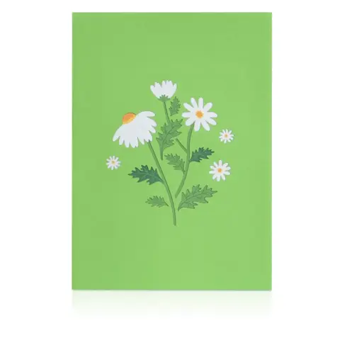 Håndlavet Pop up kort Sommerfugl i hvidt bloimsterhav 12/17,5 cm foldet + kuvert - fra tysk firma