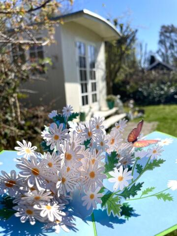 Håndlavet Pop up kort Sommerfugl i hvidt bloimsterhav 12/17,5 cm foldet + kuvert - fra tysk firma