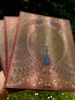 UDEN LINJER Golden Peacock særligt eksklusiv notesbog i stort format  18/23 cm 144 syrefri sider Indbundet som gammel bog I smuk indpakning hardcover