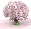 Håndlavet Pop up kort SAKURA det fineste kirsebærtræ i blomst 12/17,5 cm foldet + kuvert - fra tysk firma