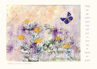 Kunstkort 2 stk store A5 kort med kuverter Maleri og tekst af Lawrence blå sommerfugl i landskab af gule blomster 