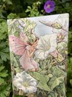 UDEN LINJER SNERLE-FE højkvalitets notesbog med let bøjeligt omslag 176 sider 12,5/17,5 taskeformat fra Canadisk firma