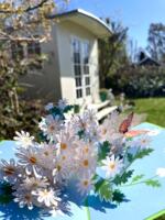 Håndlavet Pop up kort Sommerfugl i hvidt bloimsterhav 12/17,5 cm foldet + kuvert - fra tysk firma